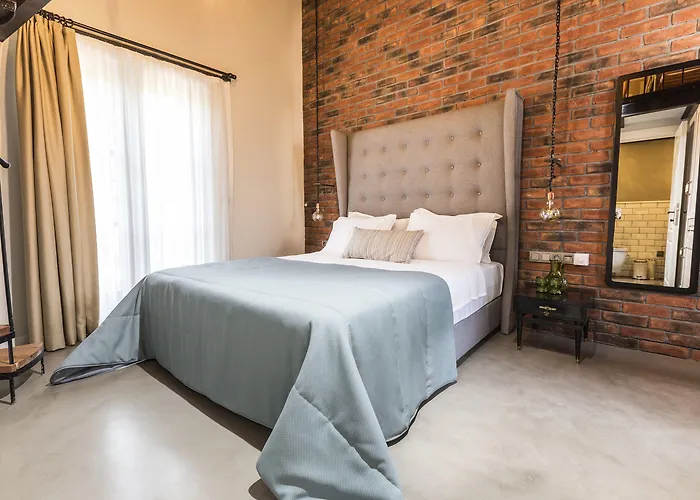 阿拉卡迪时尚酒店 酒店 阿拉恰特