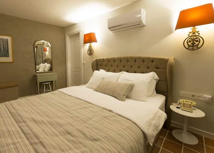 阿拉卡迪时尚酒店 酒店 阿拉恰特