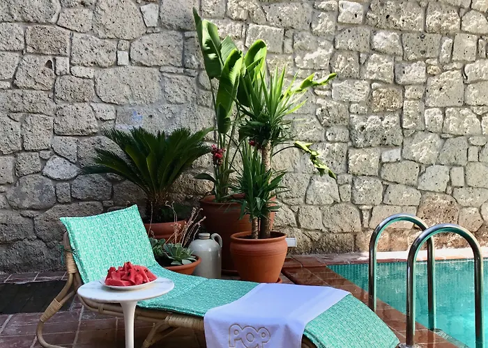 阿拉卡迪时尚酒店 酒店