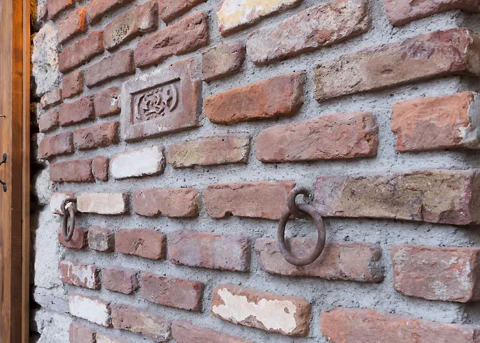 阿拉卡迪时尚酒店