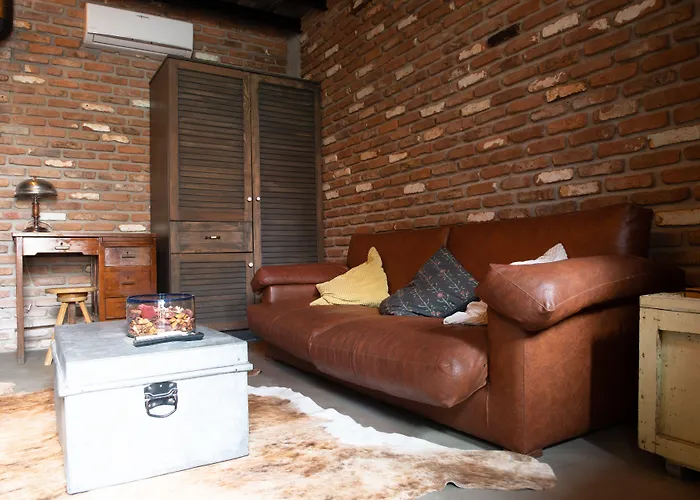 阿拉卡迪时尚酒店 酒店 阿拉恰特