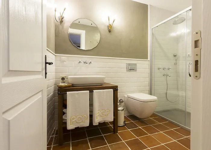 酒店 阿拉卡迪时尚酒店 5*