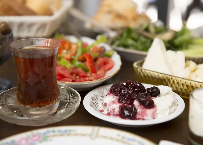 酒店 阿拉卡迪时尚酒店 5*