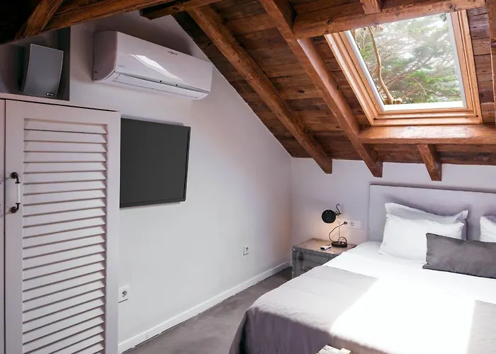 阿拉卡迪时尚酒店 酒店 阿拉恰特